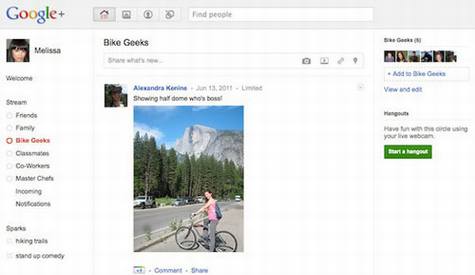 Google+��Google��Facebook���ռ���ɱ