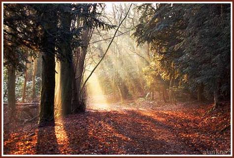 Panoramio���������Ƭ