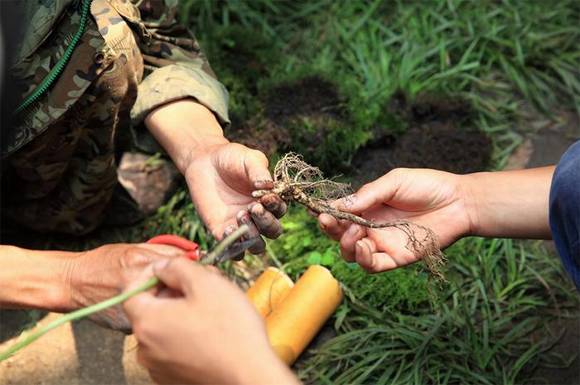 ���ֳ���ɽ��ɽ�ڲ�ϰ��