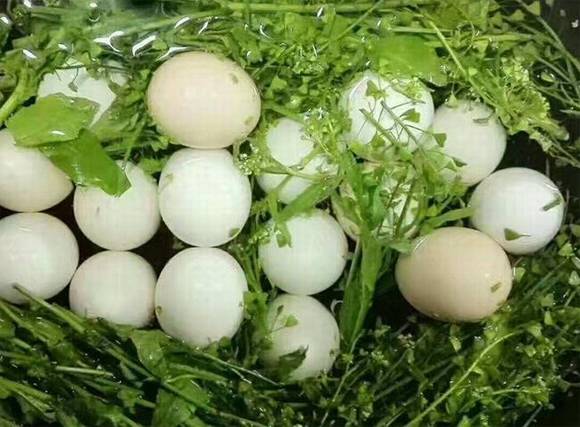 ũ���������Եز��󼦵���ϰ��