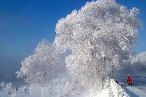 ��������ҥ���������롢ϰ�ס�ͯҥ��