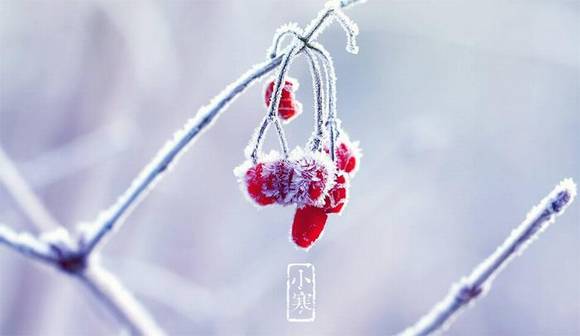С��ϰ�����ˮ