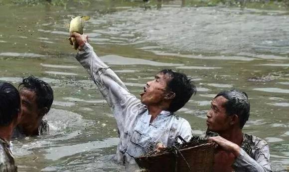 ������ƽ��կ������ڡ�