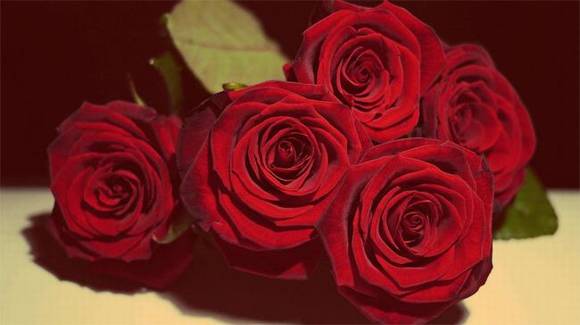 ɳ�ذ���������/����/����/����/����/����