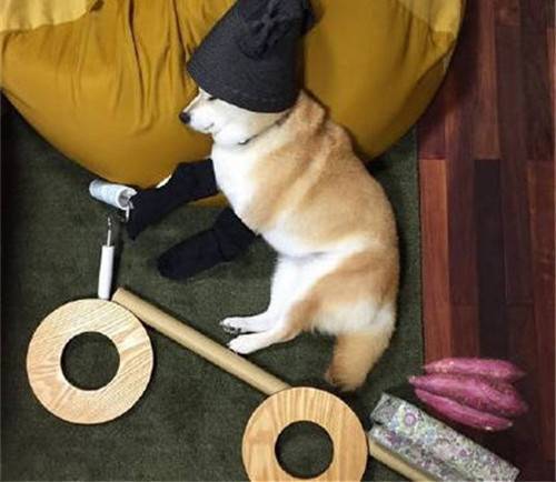 ���������ŵ����δ�