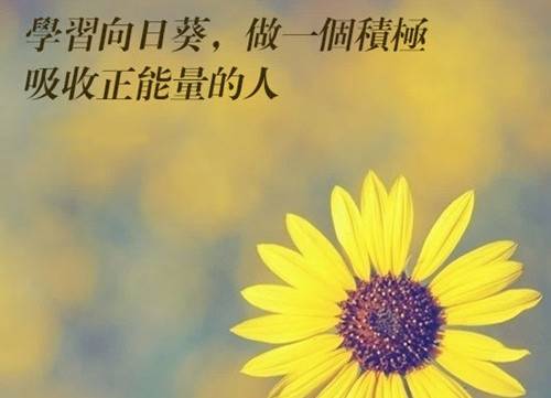 �ɻ������ʫ��