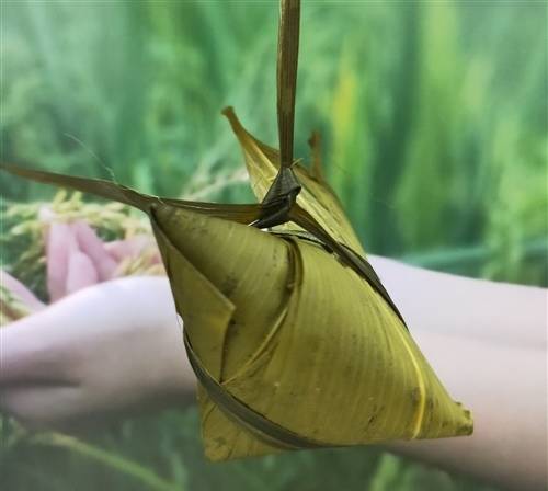 ��ʫ������֮��ʫ����