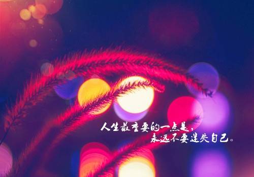 �������Ӳ�ʫ��