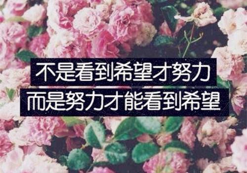 ��ĸ����ӵ�ʫ��