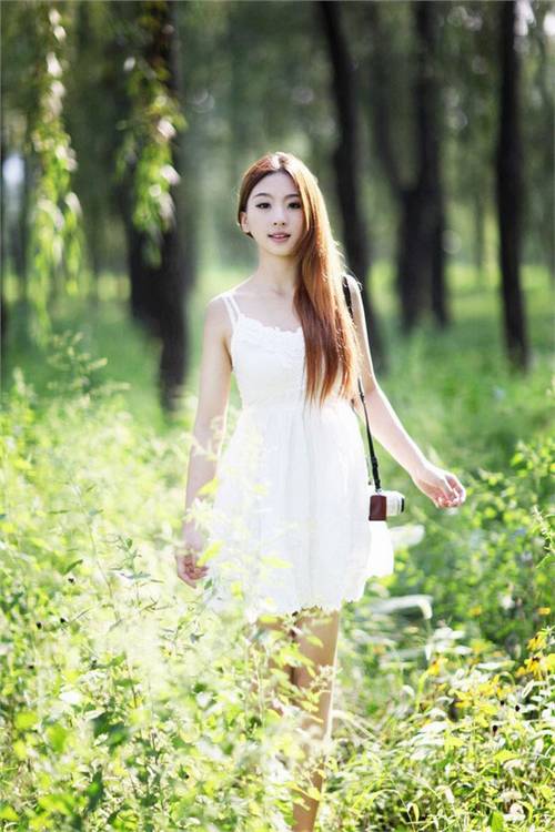 ���꼶��ʫ��֪ʶ��