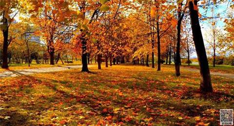 ��ɽ���δ�����
