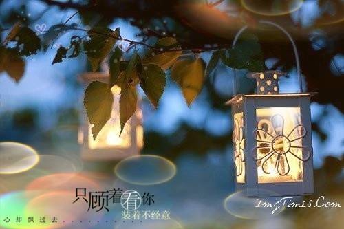 һ������÷����ʫ��