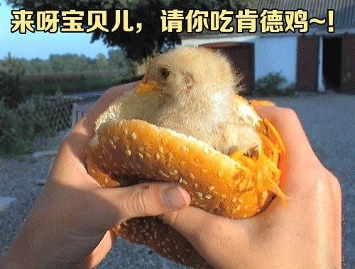 �����������δ�