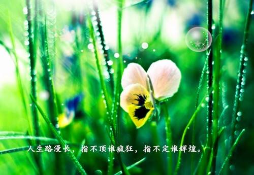 ���ݴ���������ʫ��