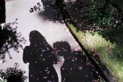 ɽ����ȵ¥���δ�