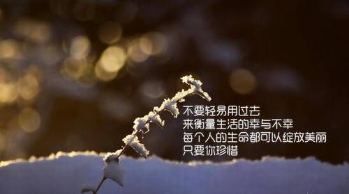 ��д��ú�ɽ��ʫ��