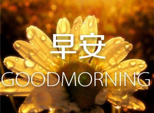 �߾����˽ڹ�ʫ