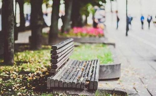 ɮ�˶��ǳ��з���ʫ��