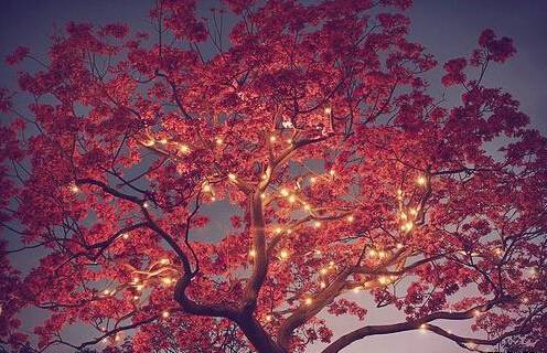 ��򵥵ĺ�ʫ��