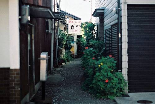 ��д�ͱ�ľ�ɫʫ��