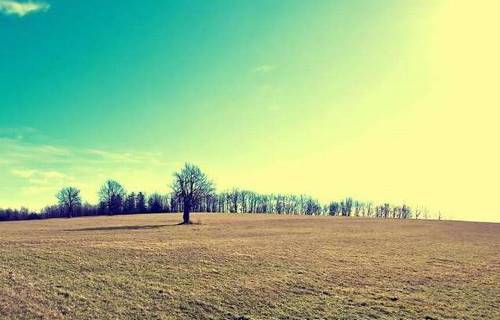 �й������ջ��Ƶ�ʫ��