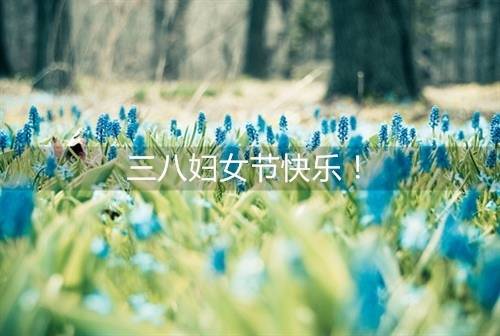 ����еĵ��δ�