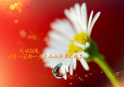 ���ֹ�ʫ20��