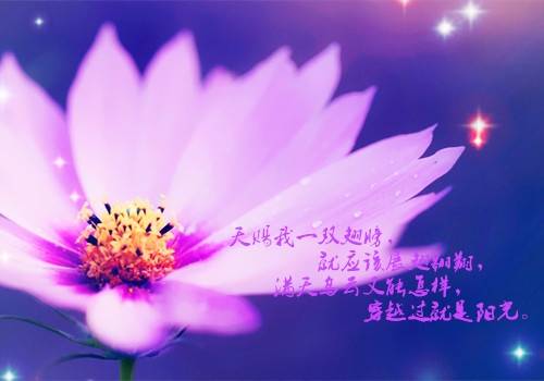 �к��ֵ�ף��ʫ��