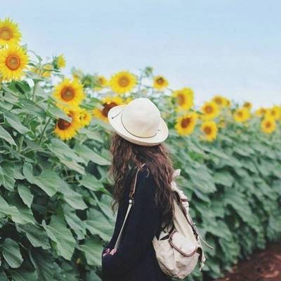 �Ҹ��Ĺ���ʫ��