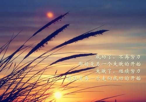 ���ֽ�Ӣ�ﵼ�δ�