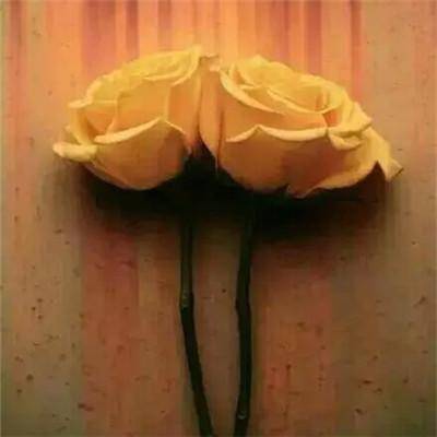 ��������˼��Զ��ʫ