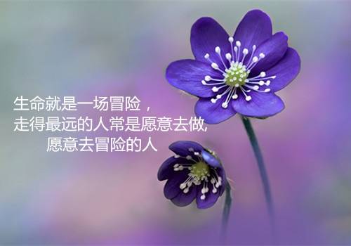 �����δʽ�βժ��