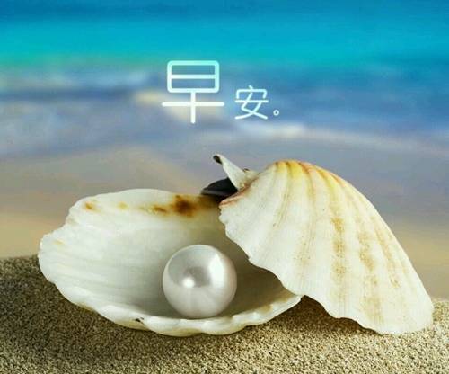 �����̲ݱ����յ�ʫ��