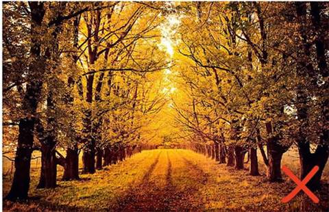 �ͼ�԰�����õ�ʫ��