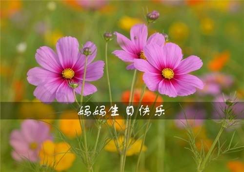 дһ�׸�л��ʫ��