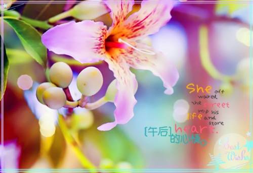 ���ݶԷ�������ʫ��
