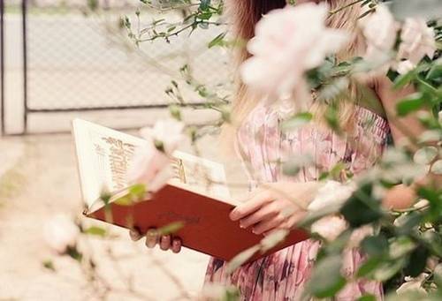 ��ɽ���δ�100��