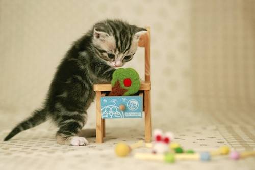 �ᱳ��ʫ�����ж��