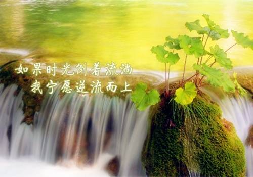 ����д������ˮ��ʫ��