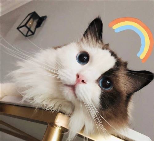 ������¶��ʫ��