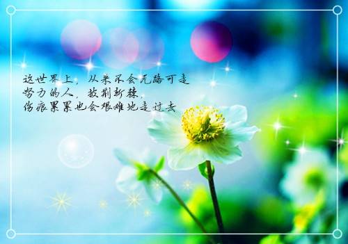 ������ϵ�ʫ��
