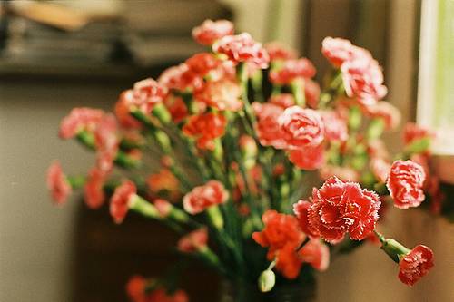 �ﰧ��Ӧ��ʫ��