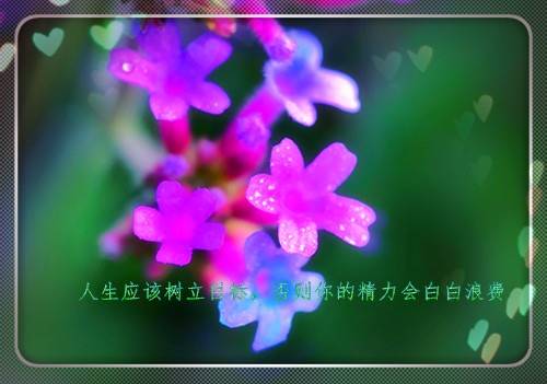 �����ŵ�����ʫ��