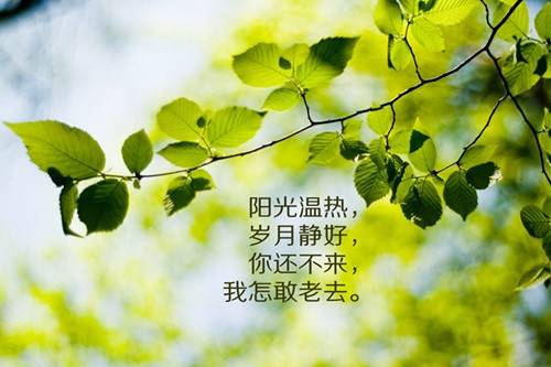 �۳����δʳ���ʱ