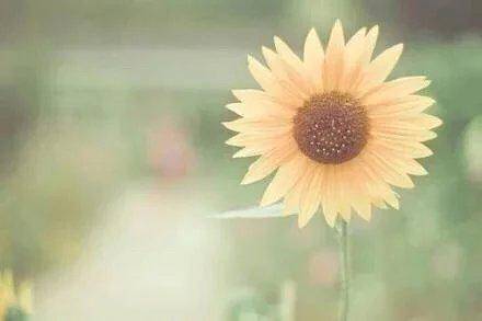 ����һ�еĹ�ʫ