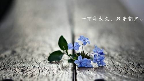 ʫ�����ĵ�ʫ��