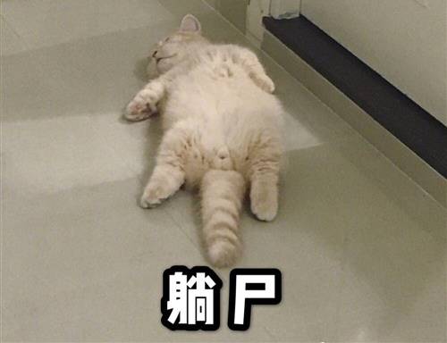��ʮ������Ĺ�ʫ��