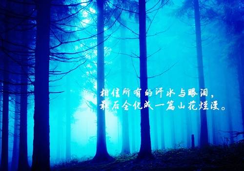 ��д���»�ʫ��