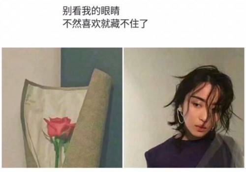 ��˾�ǵĵ��δʽ���