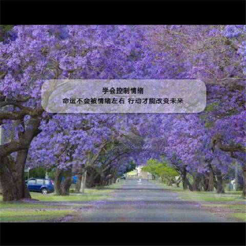 ��Ԫ�µ��δʷ���